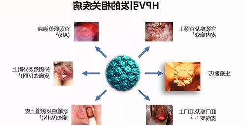 微信图片_20190911091340.jpg